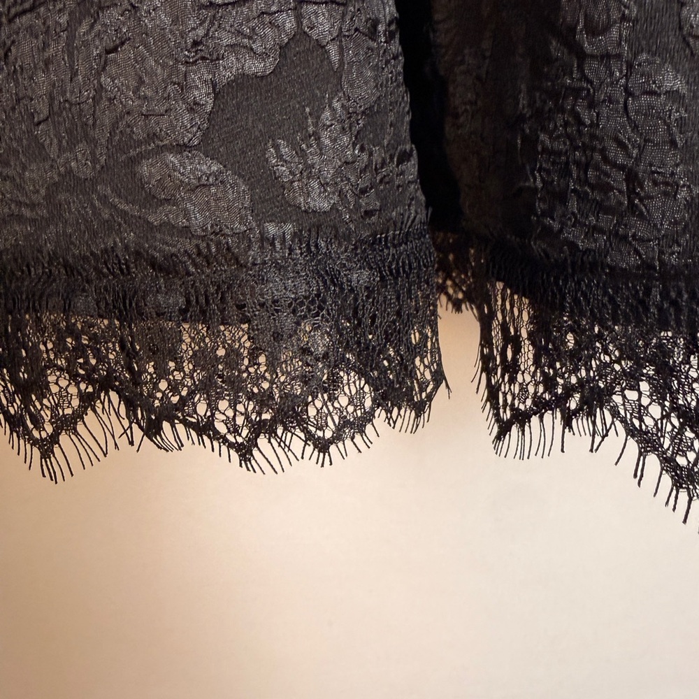 Elegant Black Lace Goth Dress - Picture 10 of 12